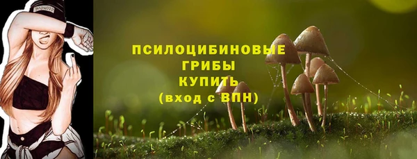 спайс Алзамай