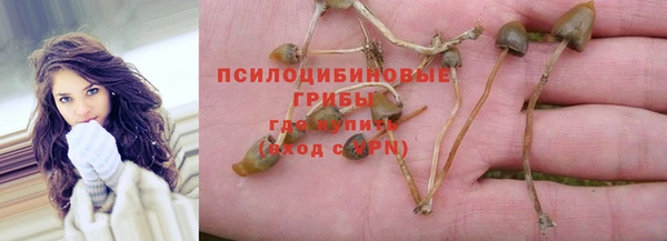 мяу мяу мука Алексеевка