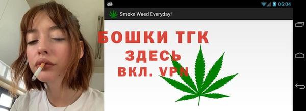 спайс Алзамай