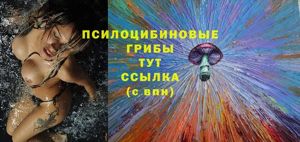 мяу мяу мука Алексеевка