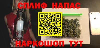 прущие грибы Сланцы