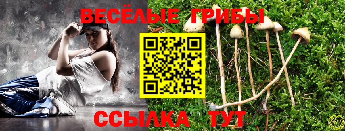 Курганинск  Псилоцибиновые грибы мухоморы  где купить   Вход с VPN 