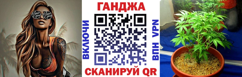 Бошки марихуана VHQ  Курганинск 